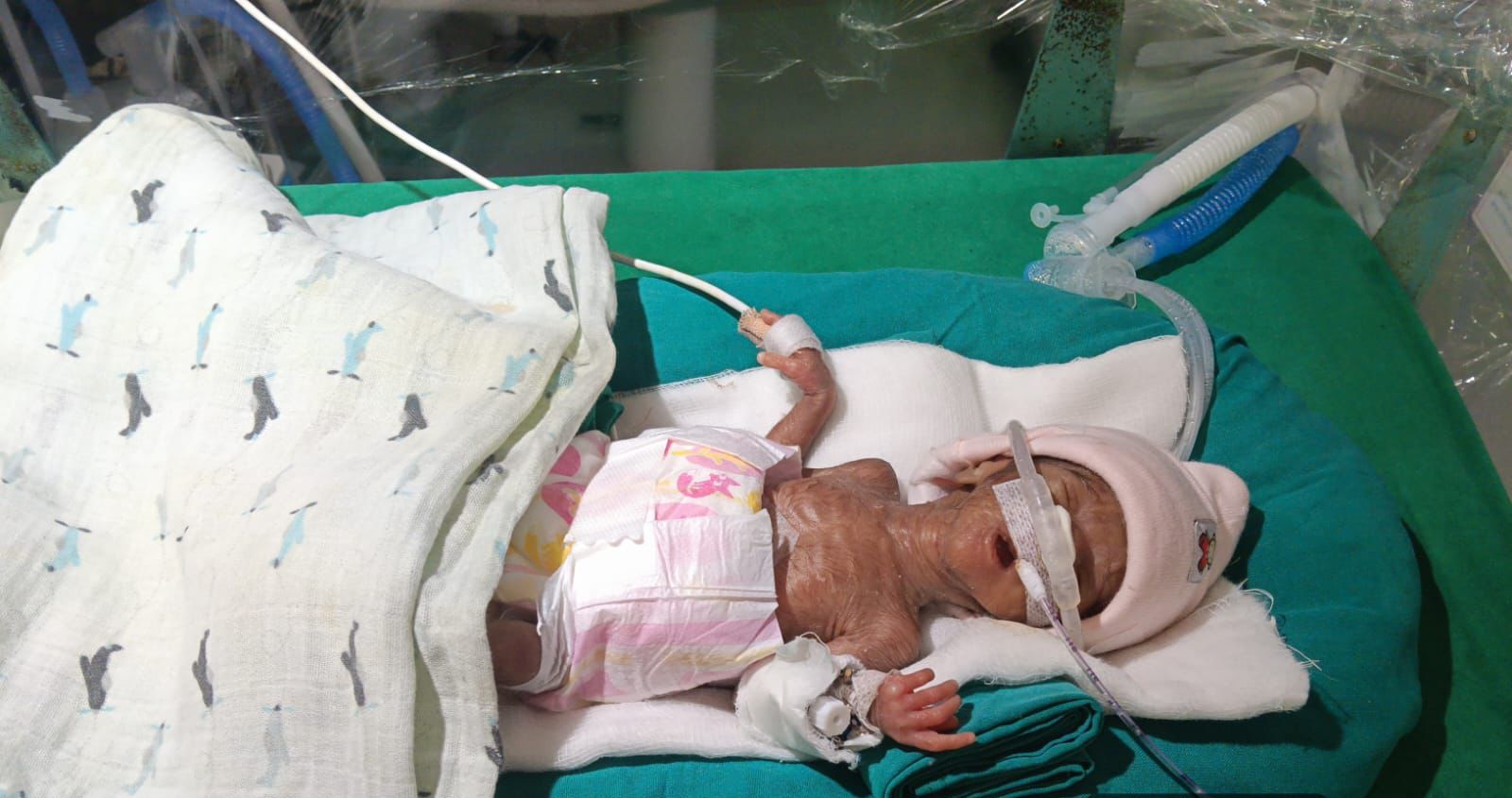 Baby of Kavita Kolekar