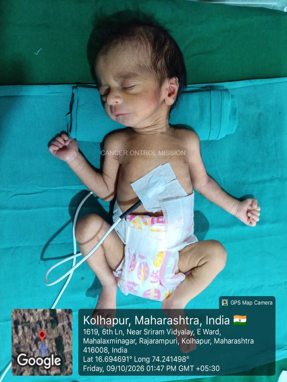 Babys of Savita  Sull, Twin Boys